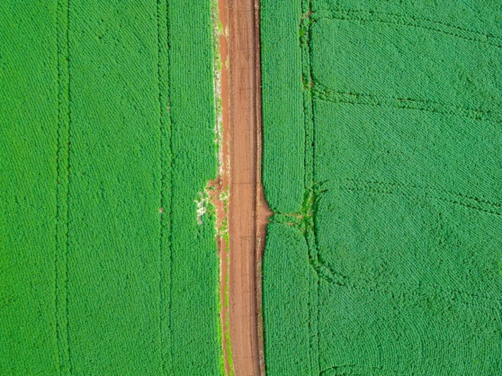Fazenda de gado — holding rural e estruturação do patrimônio agropecuário