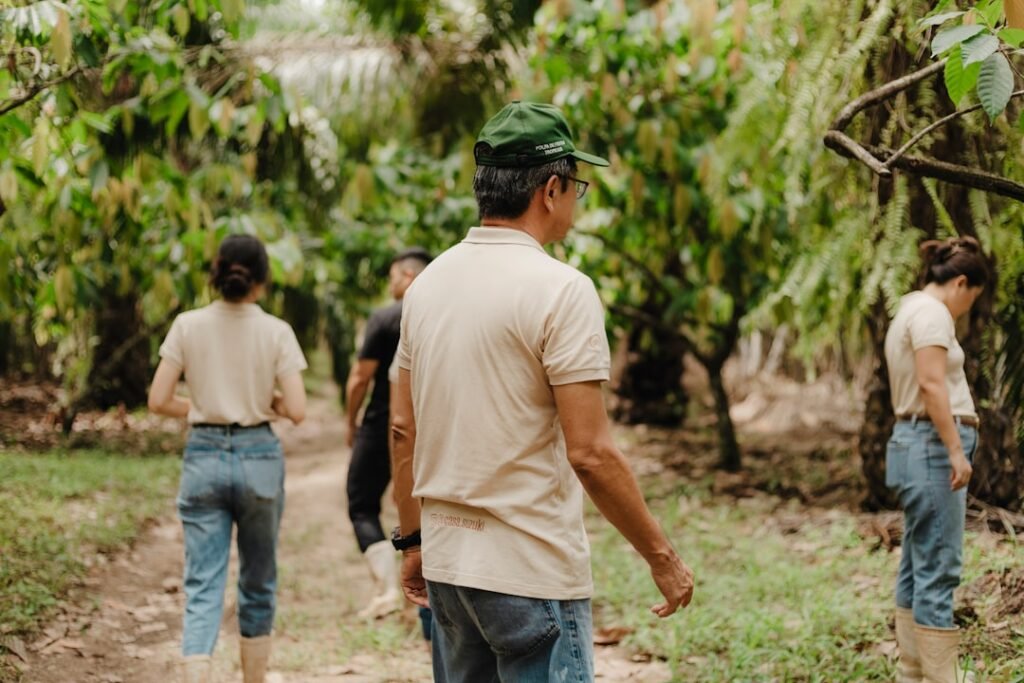 Trabalhadores rurais — eSocial, regularização trabalhista e fiscalizações